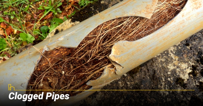 Clogged Pipes